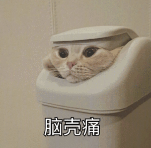 51.gif